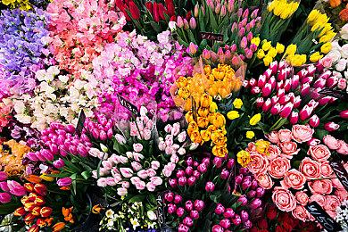 高能赛博哥特动作横版《人间失格》面向PC＆主机公布